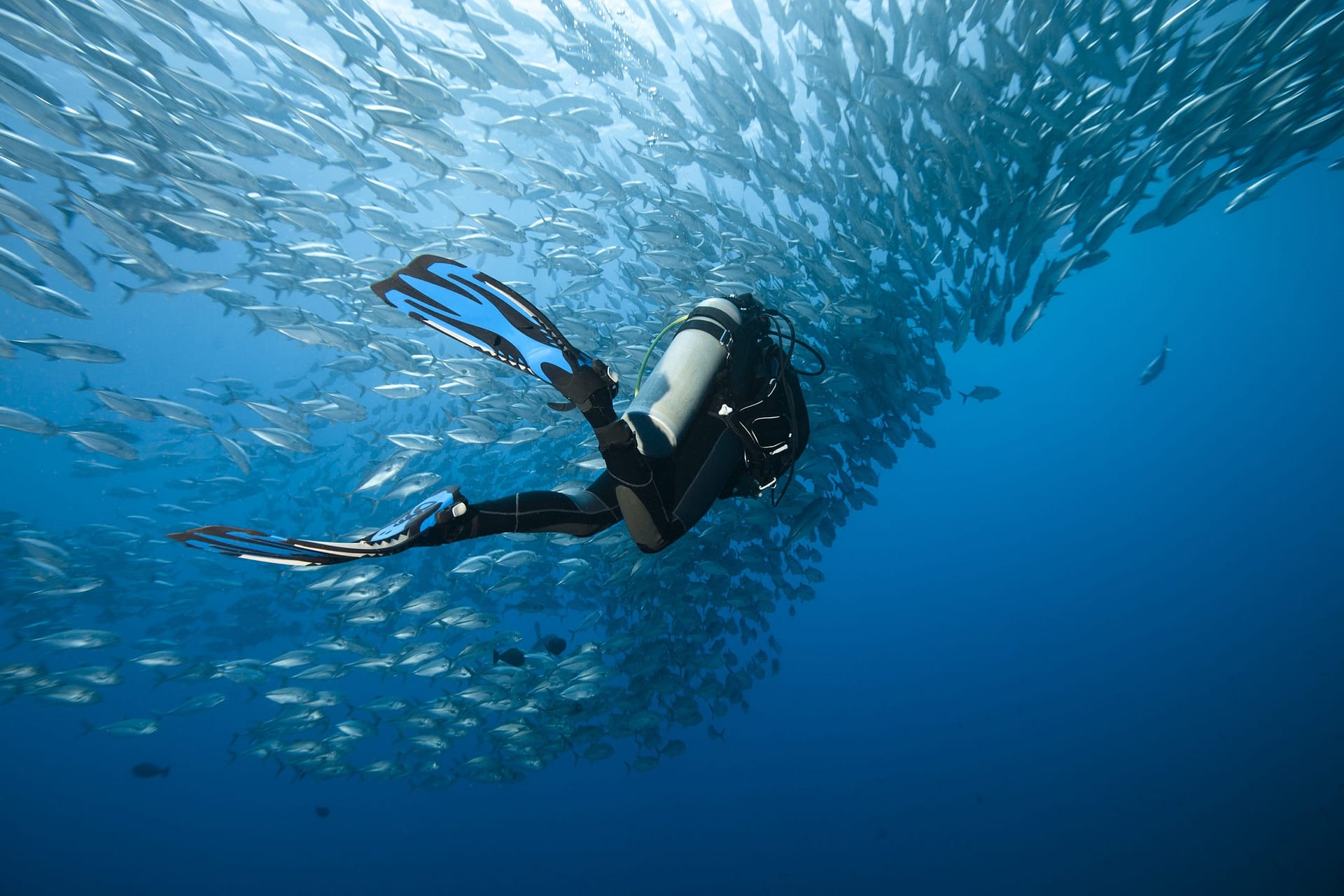 Scuba Diving in Costa Rica, Caño Island