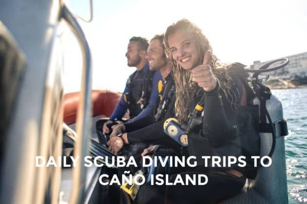 Scuba Diving in Costa Rica - Daily Tours to Caño Island